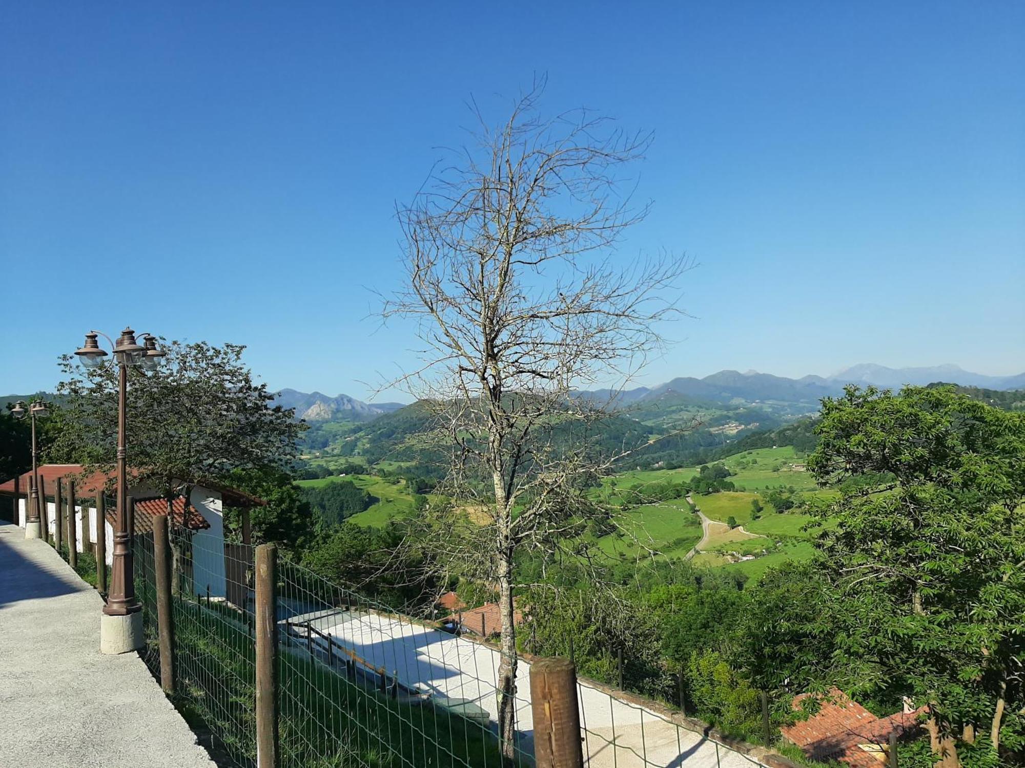 Apartamentos El Llanin Cangas de Onis Room photo