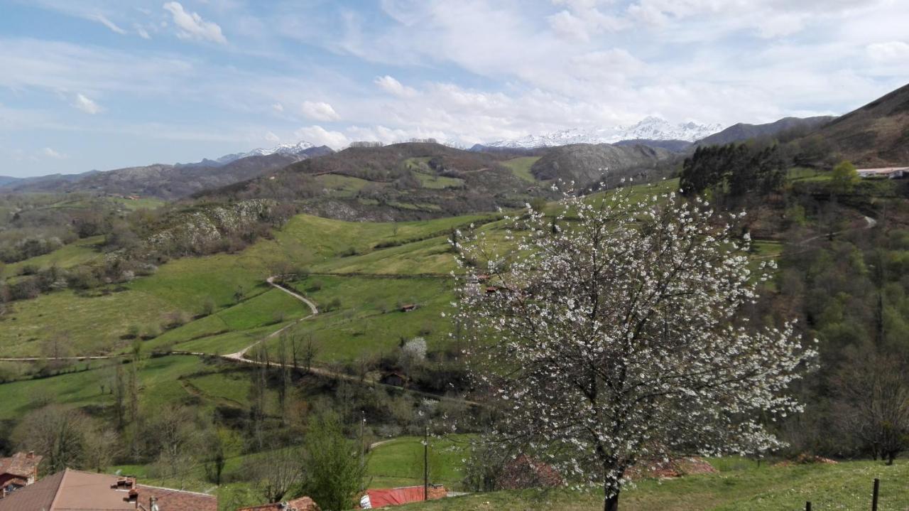 Apartamentos El Llanin Cangas de Onis Exterior photo
