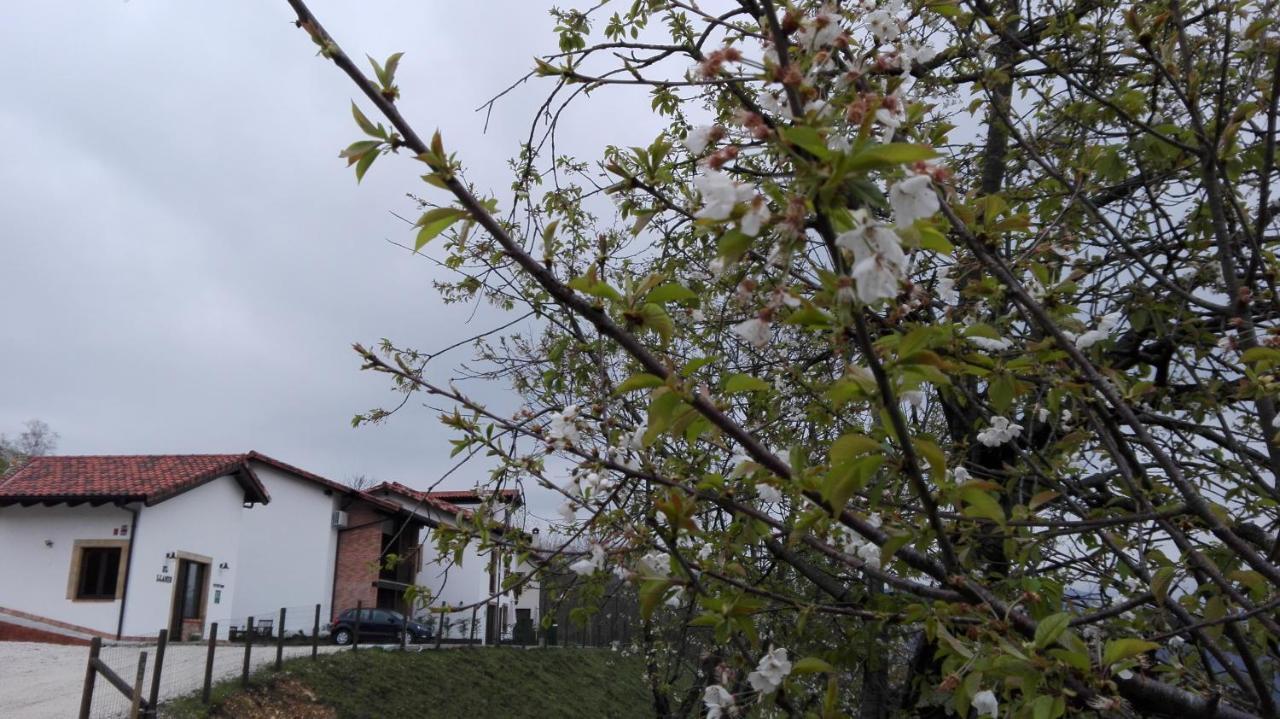 Apartamentos El Llanin Cangas de Onis Exterior photo